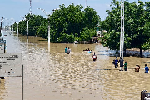 Nigeria Dam collapse: People walk through floodwaters in Maiduguri